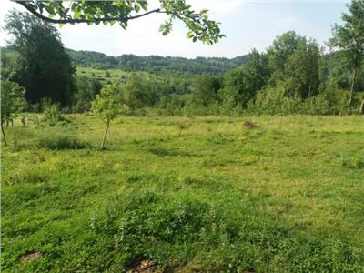 Super Oferta!! Vanzare teren Manastirea Viforata - zona de deal.