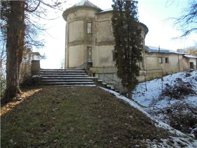 Zona pitoreasca! Vanzare conac cu 6 camere in Viforata