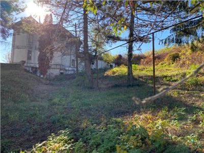 Zona pitoreasca! Vanzare conac cu 6 camere in Viforata