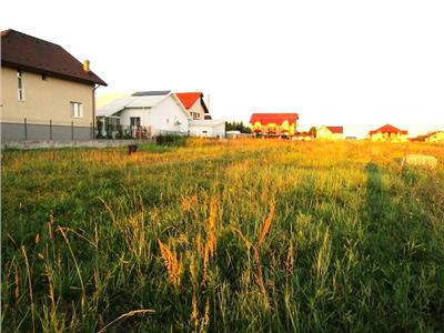 Vanzare Teren, Lot Casa 730mp in  Viforata, Targoviste - Exterior nord.